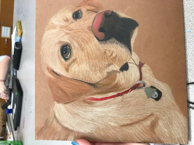 Image of a dog in colored pencil.
